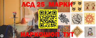 крисы Кунгур