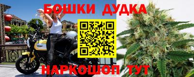 крисы Кунгур