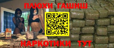 крисы Кунгур