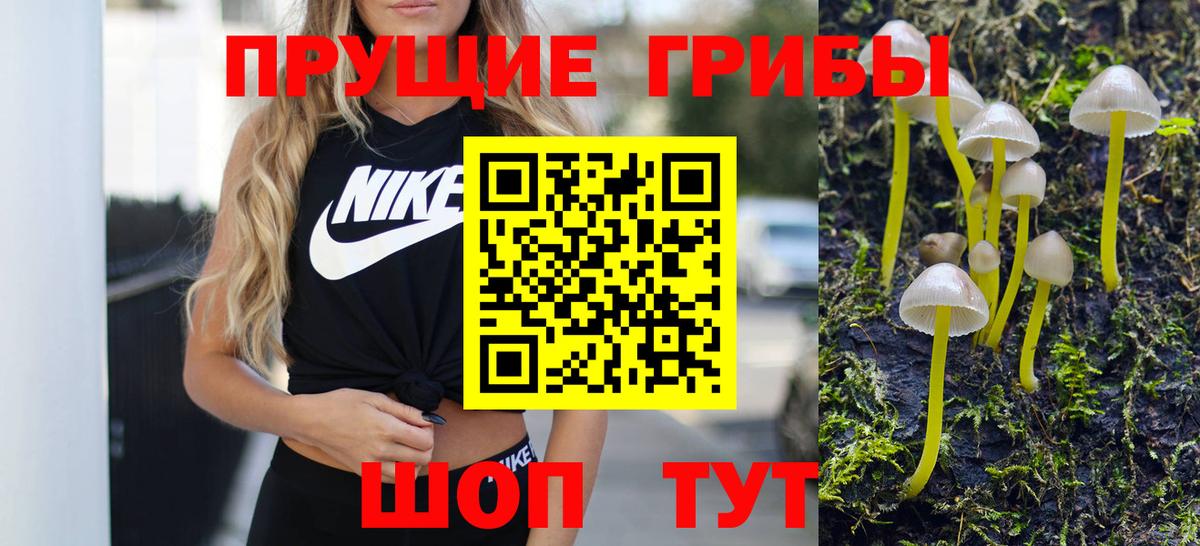 Псилоцибиновые грибы Magic Shrooms  Вход с VPN  Сызрань 